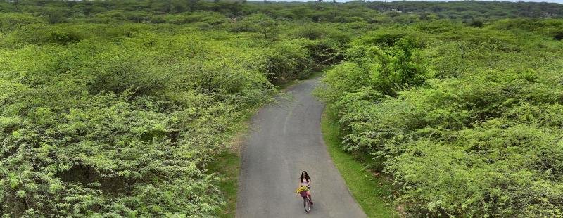 Фото The Lalit Mangar