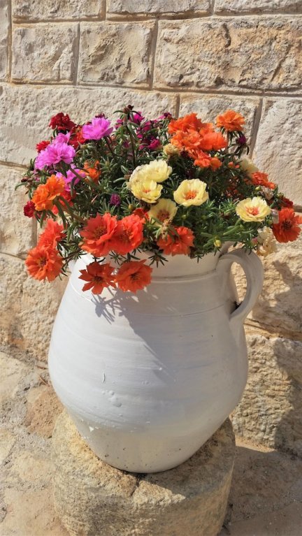 Фото Dépendance in Villa Karmel