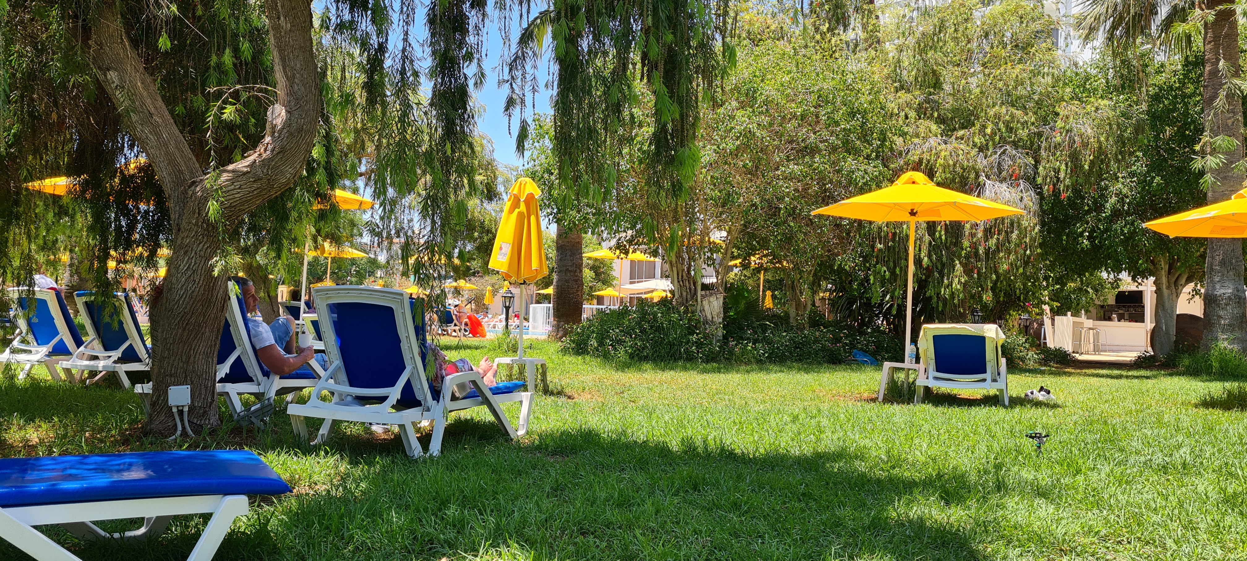 Фото Papouis Protaras Hotel