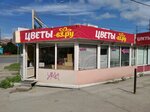 Cvety-63 (Novo-Sadovaya Street, 349Г), flower shop