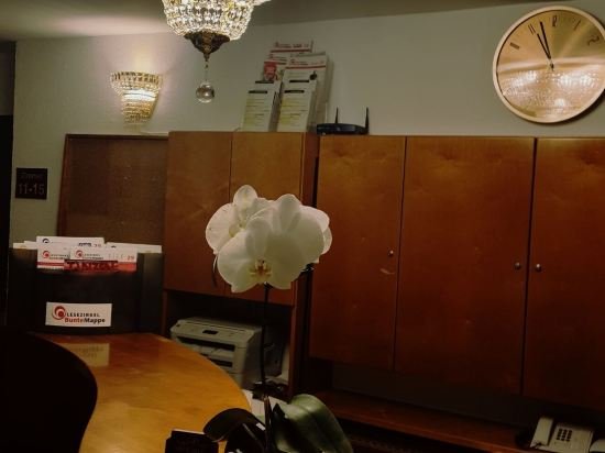 Фото Hotel Neckarlux