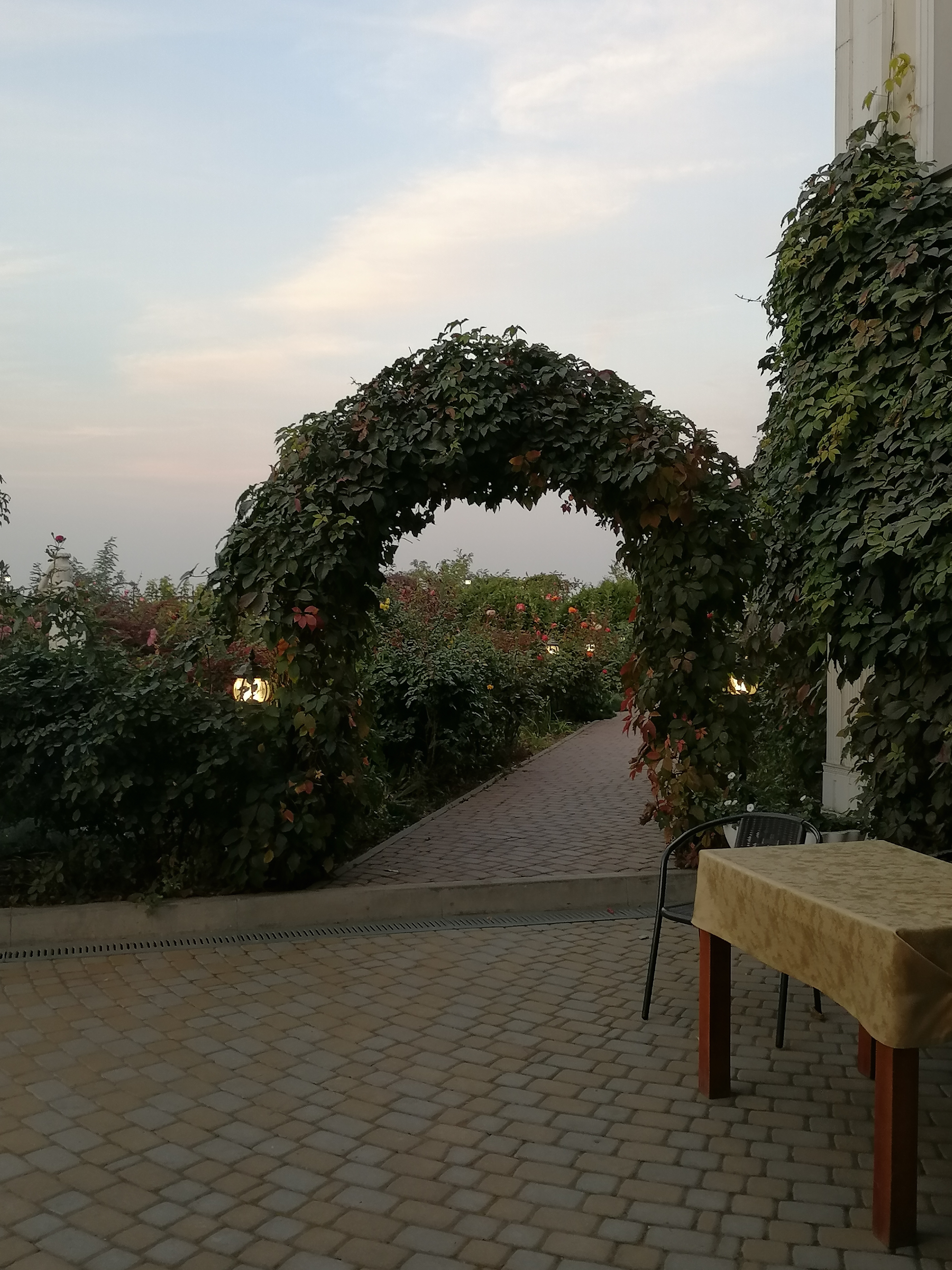 Фото Варваци