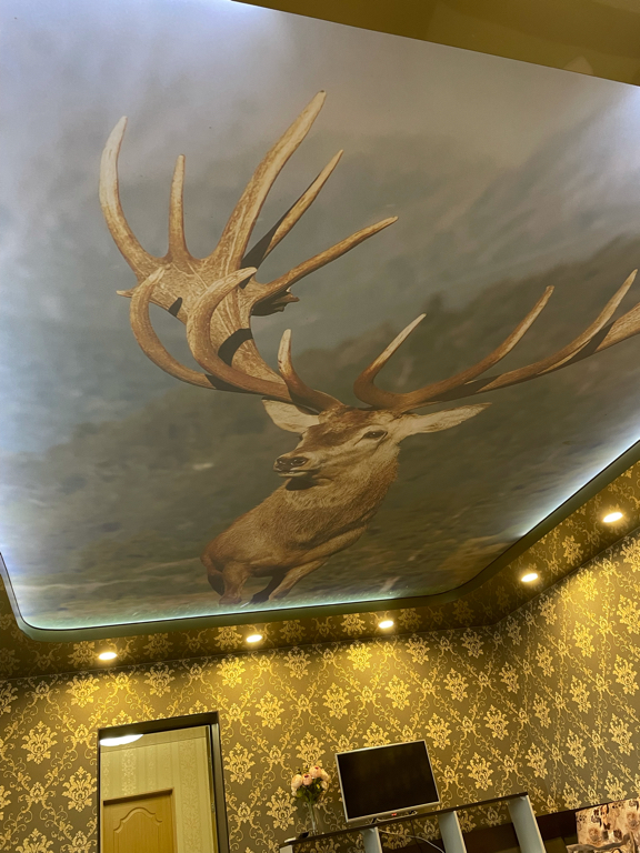 Фото Любимый