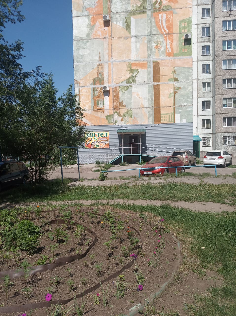 Фото Подсолнух