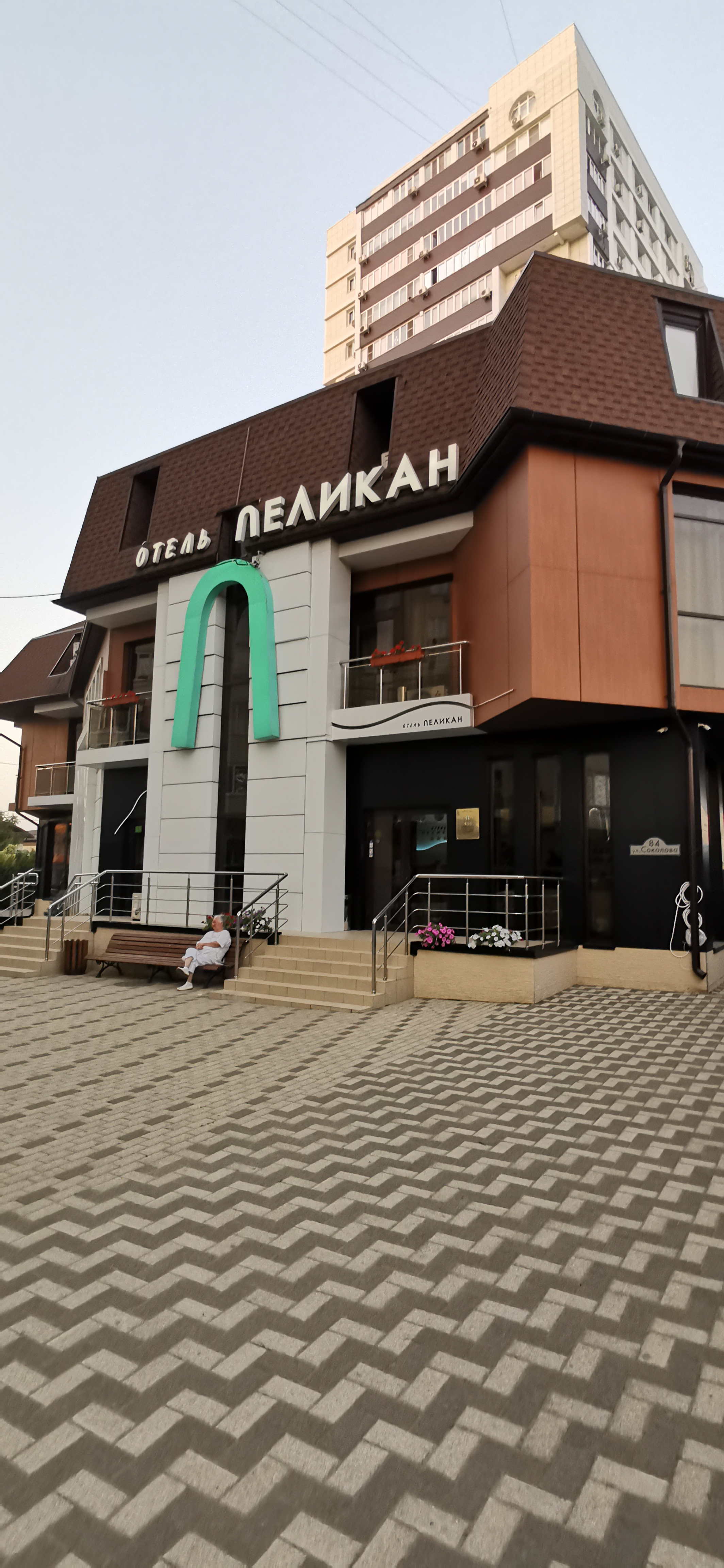 Фото Пеликан