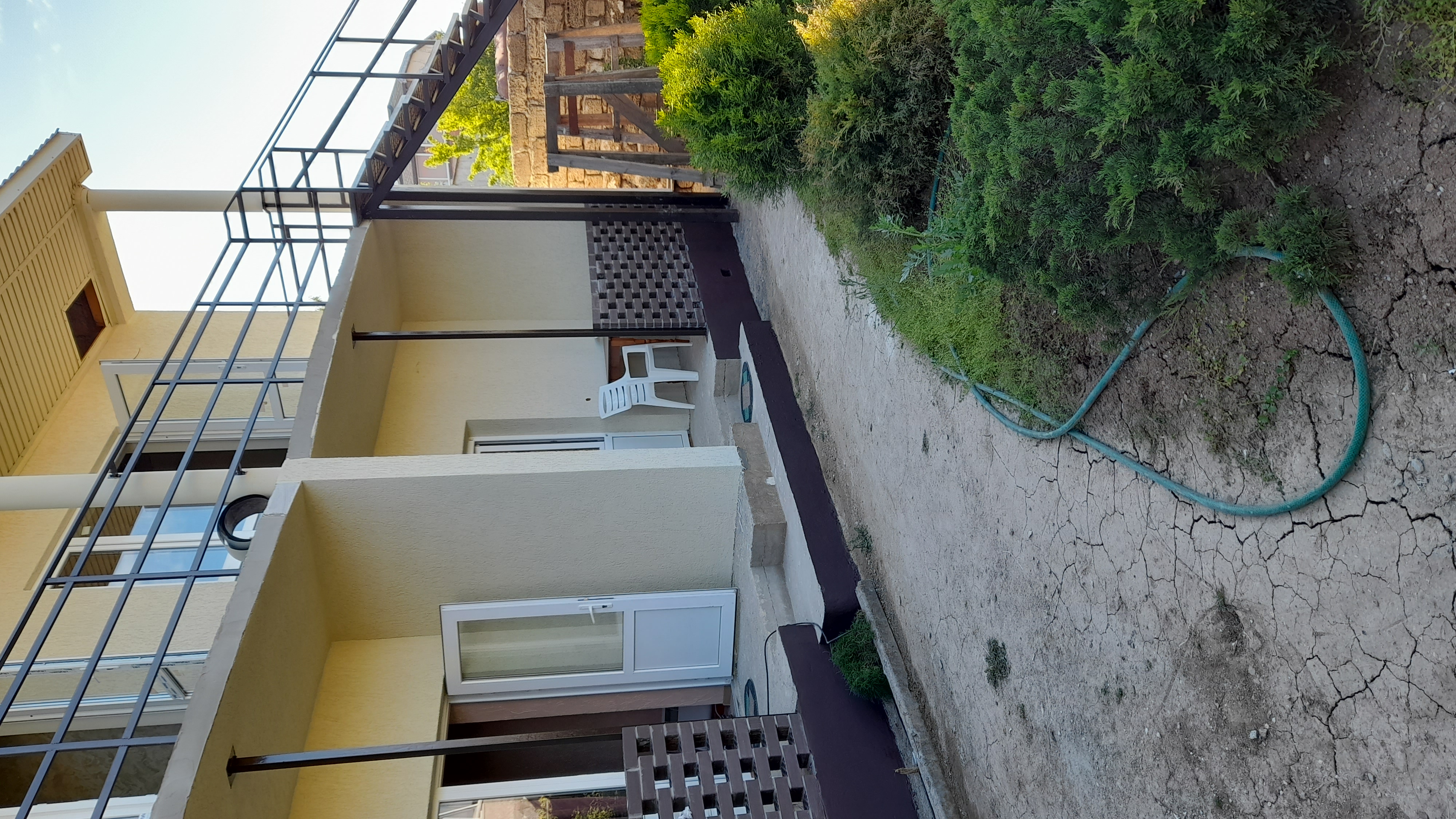 Фото Тетушка Сова