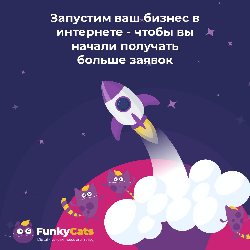 Internet marketing FunkyCats, Tula, photo