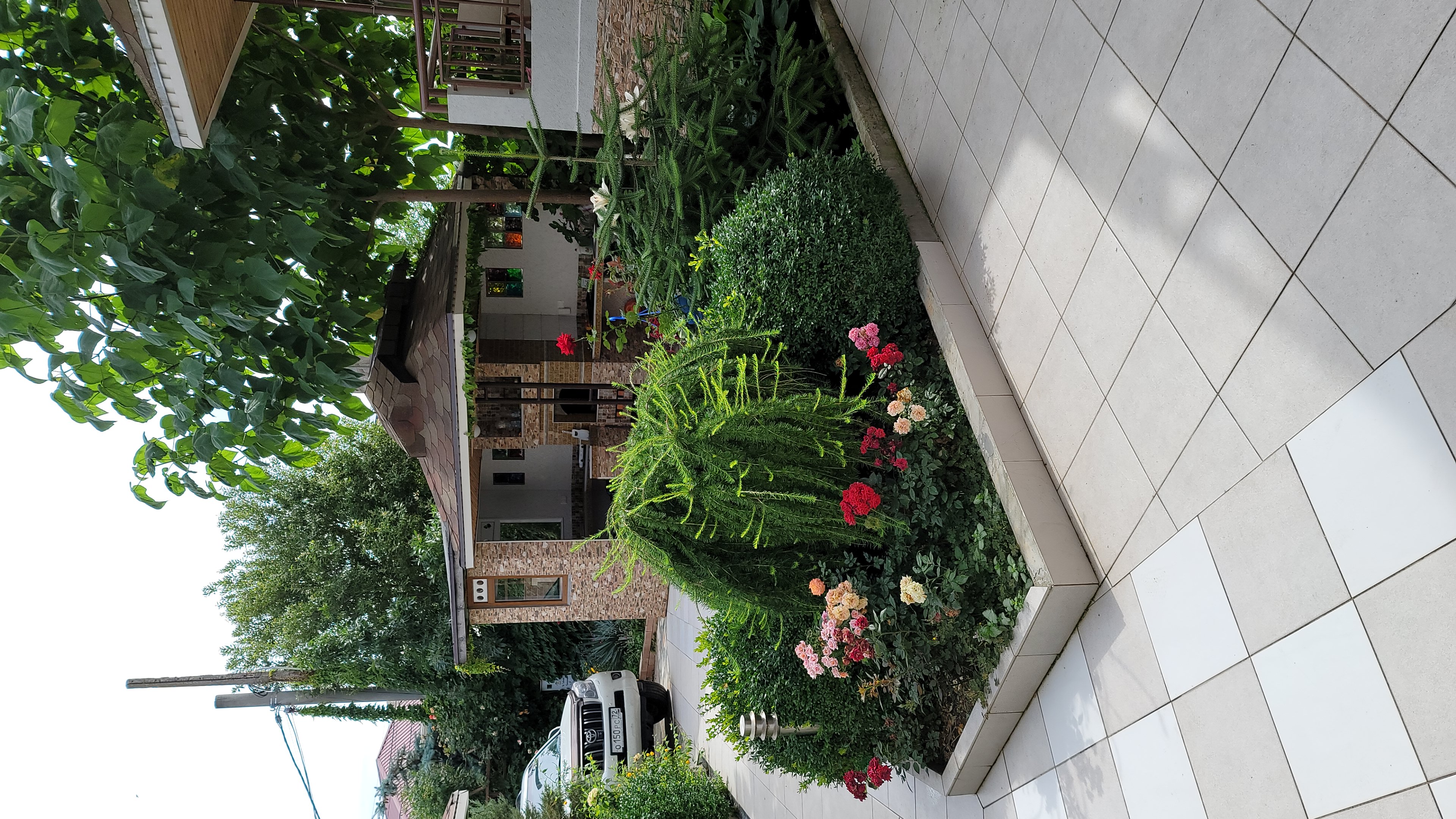 Фото Вилла Жасмин