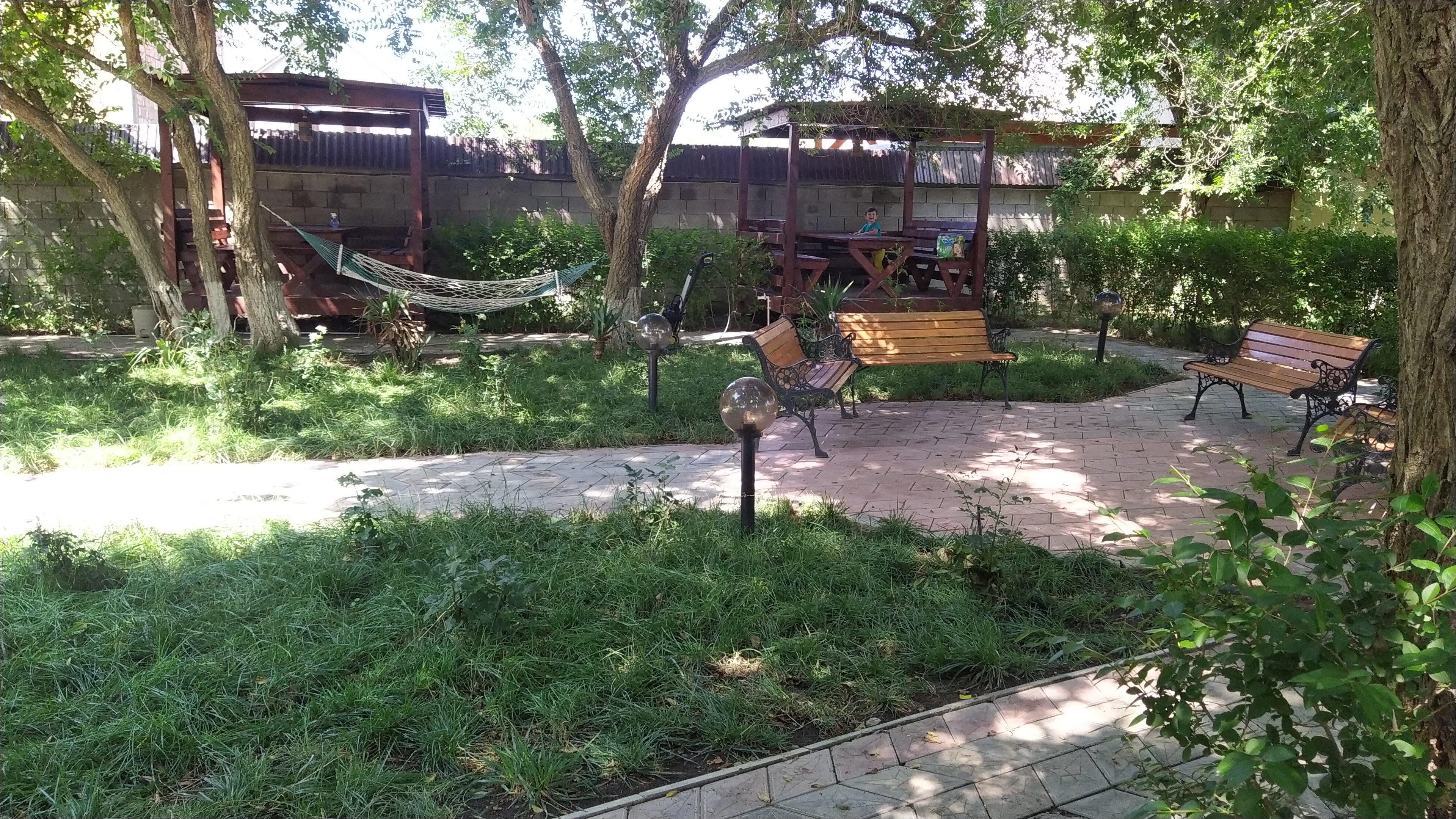 Фото Чемпион