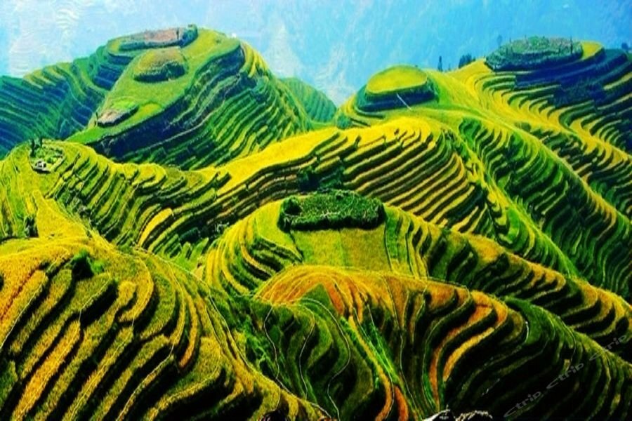 Hotel Venus Royal Hotel, Guangxi, photo