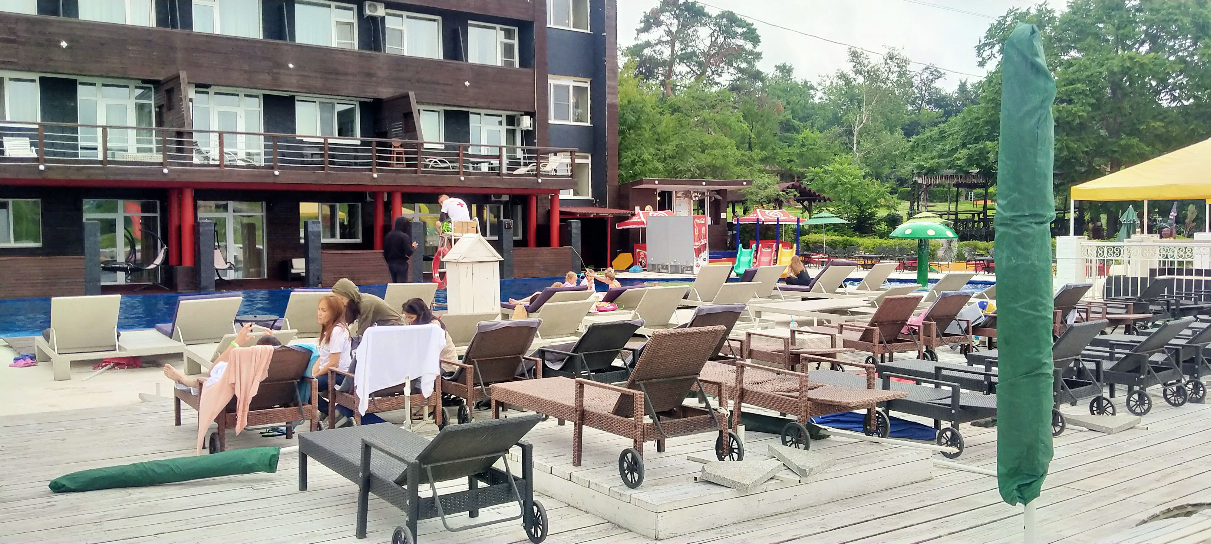 Фото Лесная поляна