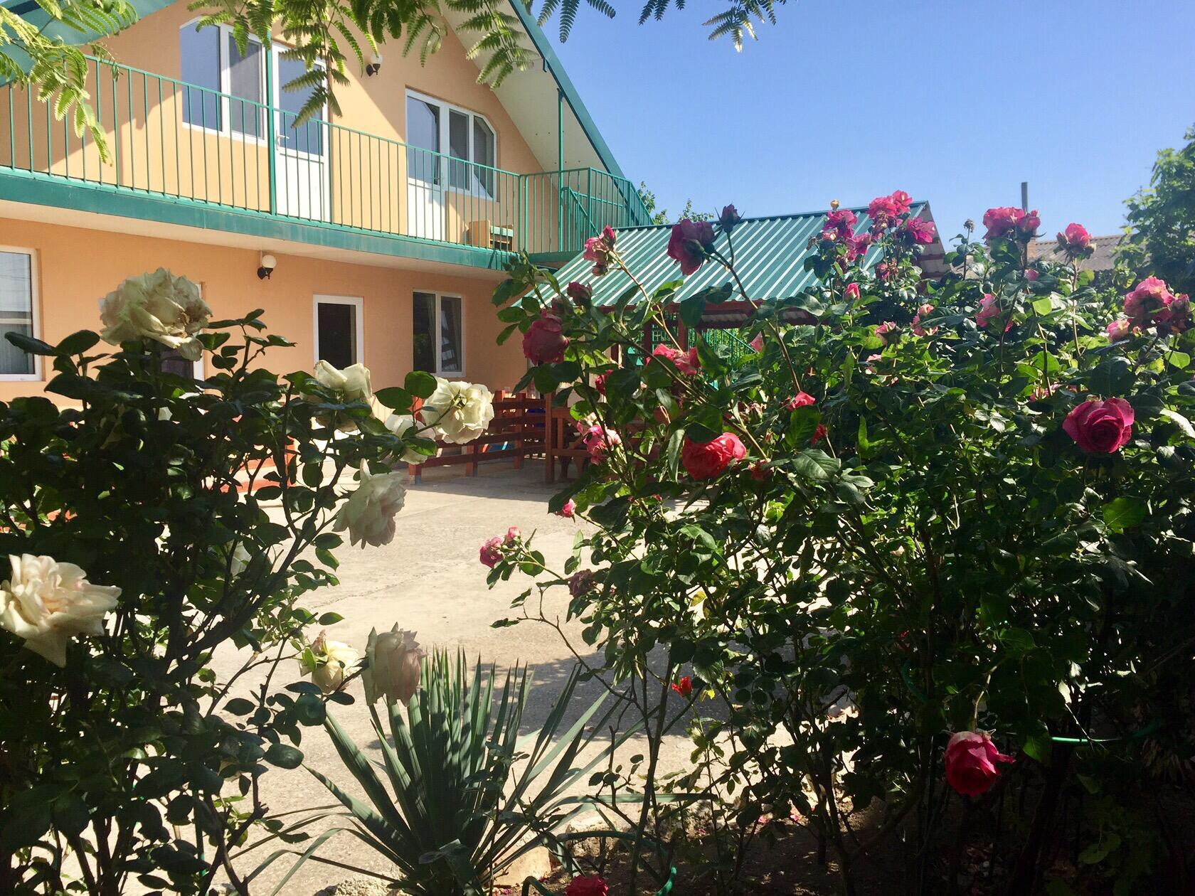 Фото Фортуна