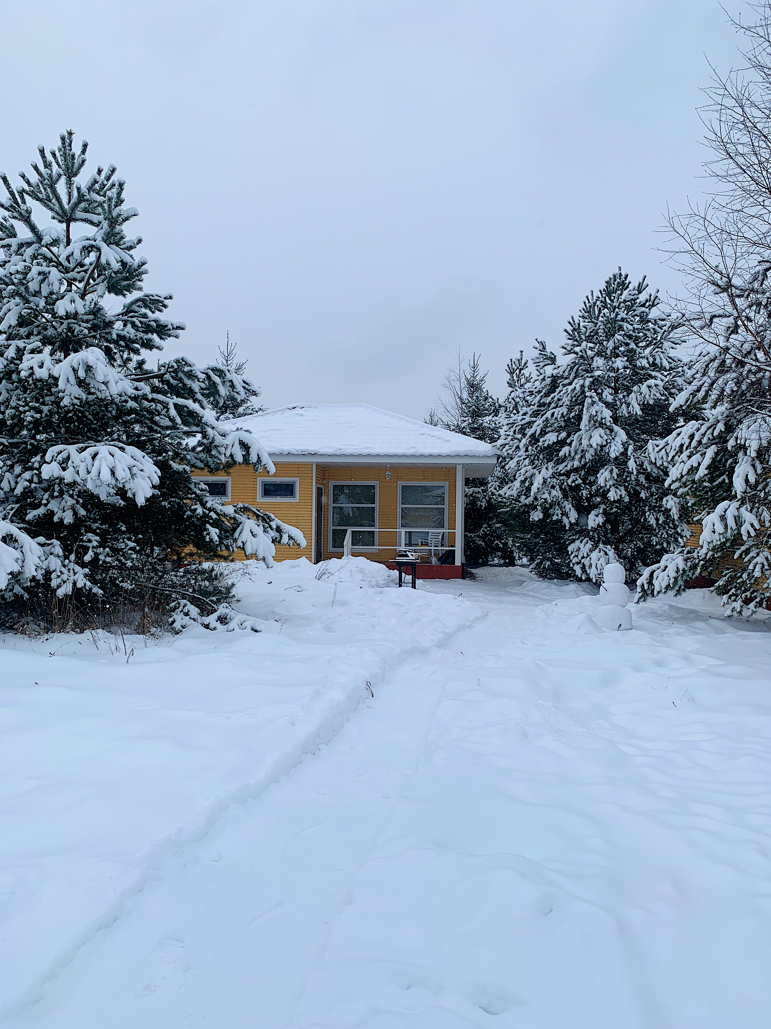 Фото Деревенька в лесу