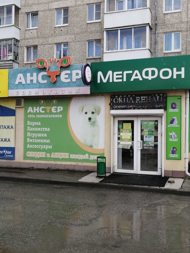Анстер Зоомагазин Интернет Магазин Каталог