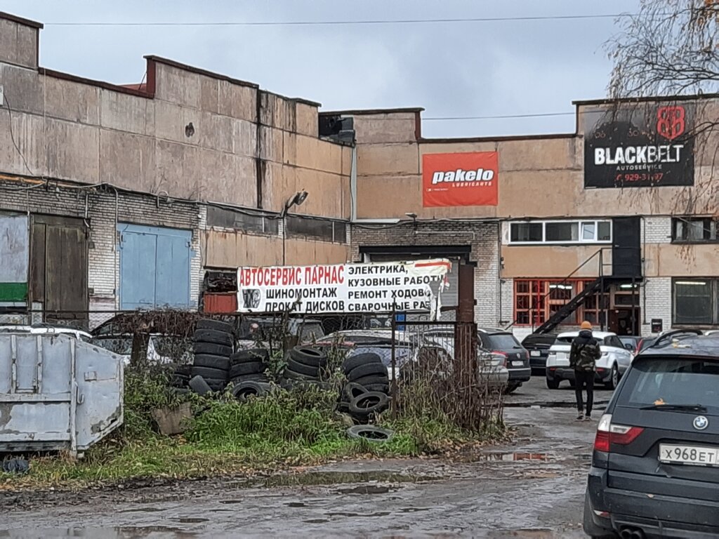 Антисервис ул михаила дудина 15б фото