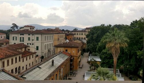 Flor in Florence