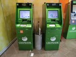 Сбер (Kirova Street, 109), atm