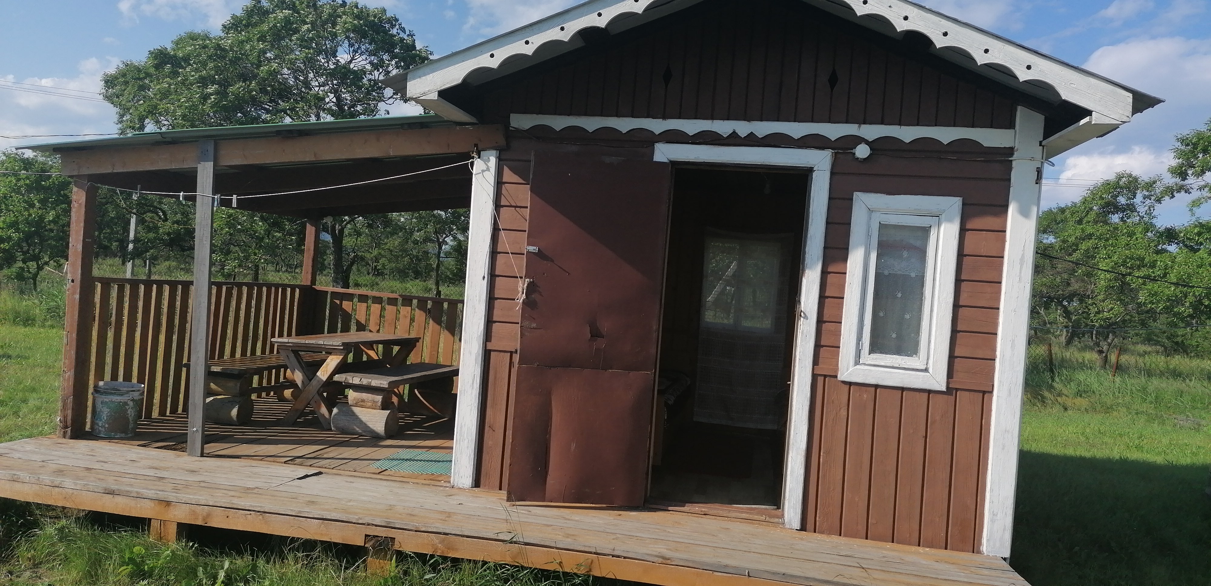 Фото Янтарная