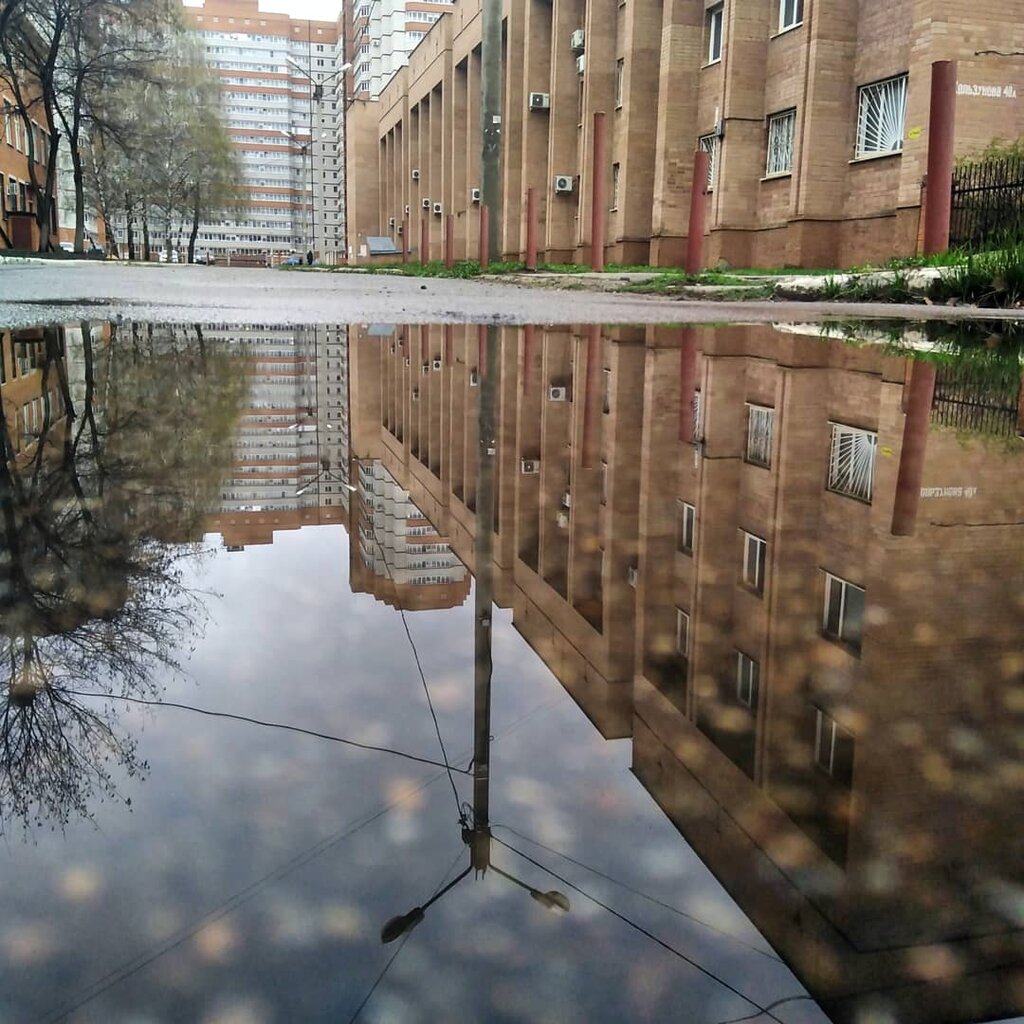 University Voronezhsky gosudarstvenny universitet, Voronezh, photo