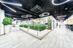 Work Space (Zapadniy Administrative District, Solntsevo District, Kiyevskoye shosse, 22-y kilometr, 4с2кГ) ، العمل الجماعي