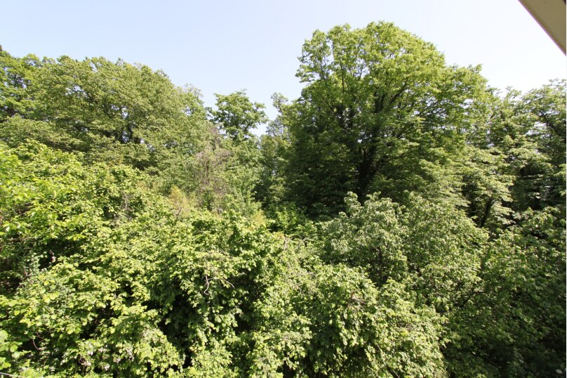 Фото Бамбучок