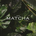 Touch Of Matcha (ул. Аккурган, 21А), диетические и диабетические продукты в Ташкенте
