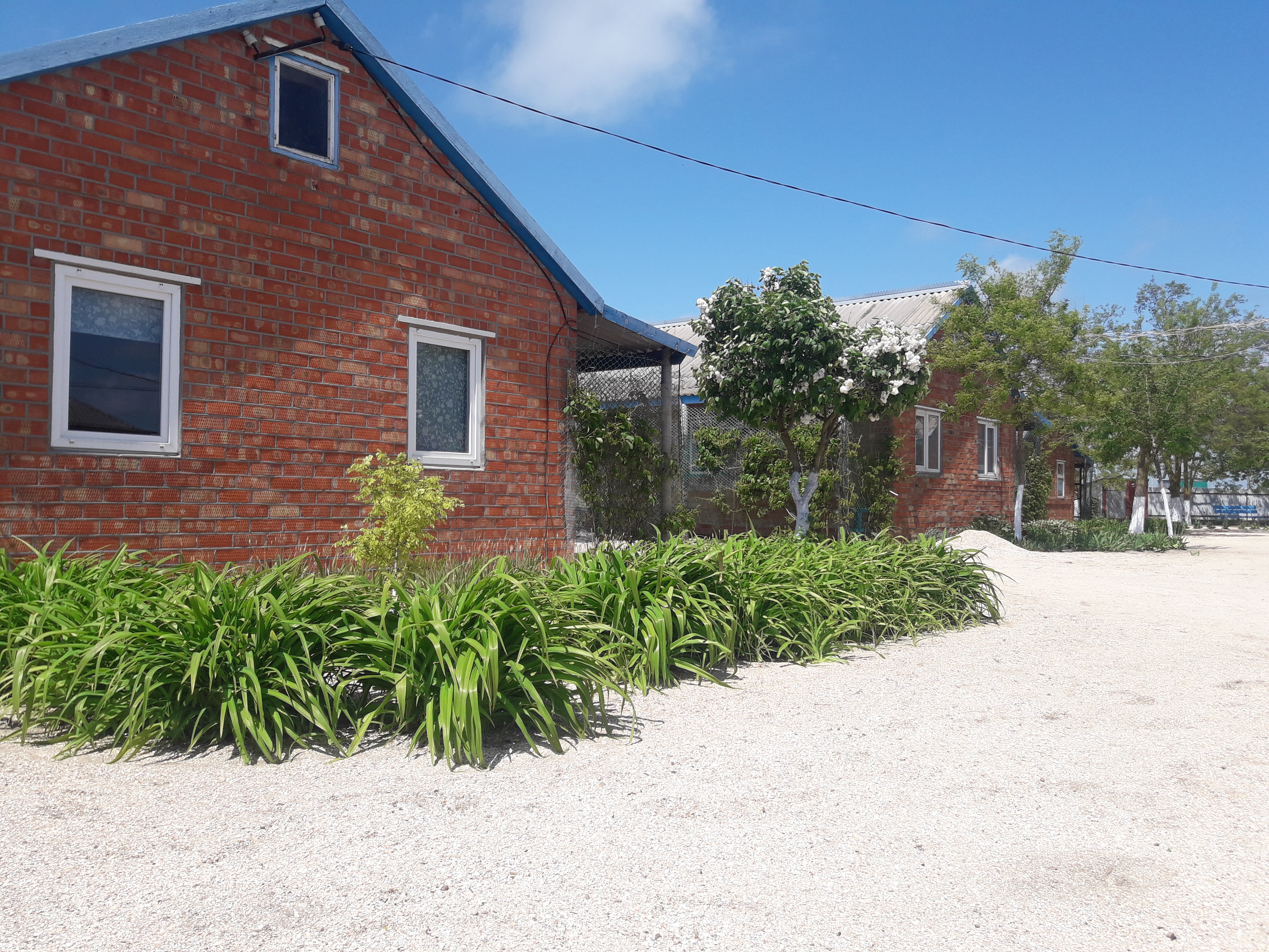 Фото Родной берег