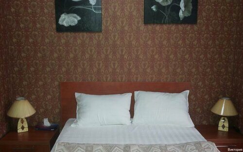 Hotel Viktoriya, Kapchaguy, photo