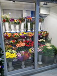 Магия цветов (Спортивная ул., 100), магазин цветов в Иннополисе