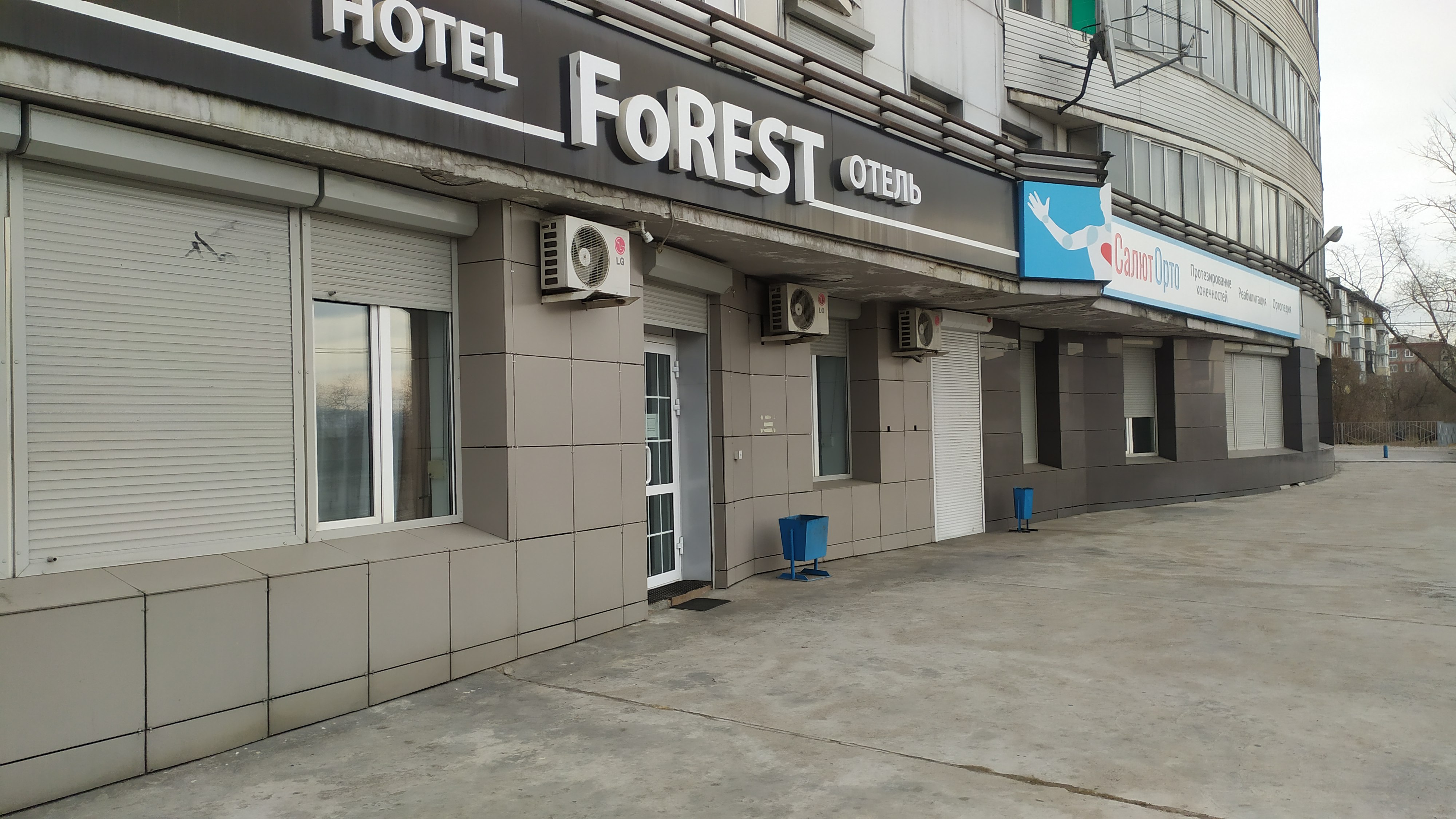 Фото Форест