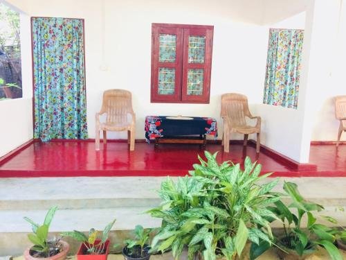 Фото Tropicana homestay