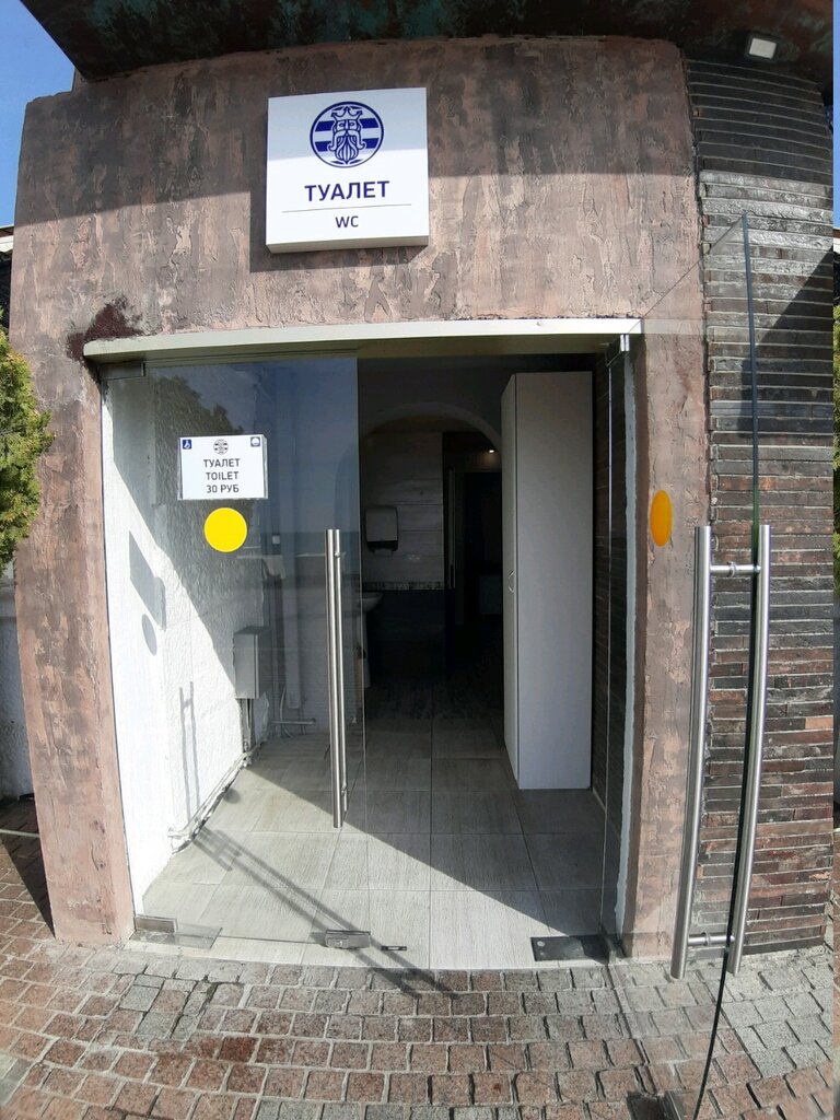 toilet30