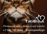 Татиброс (106, Екатеринбург), питомник животных в Екатеринбурге