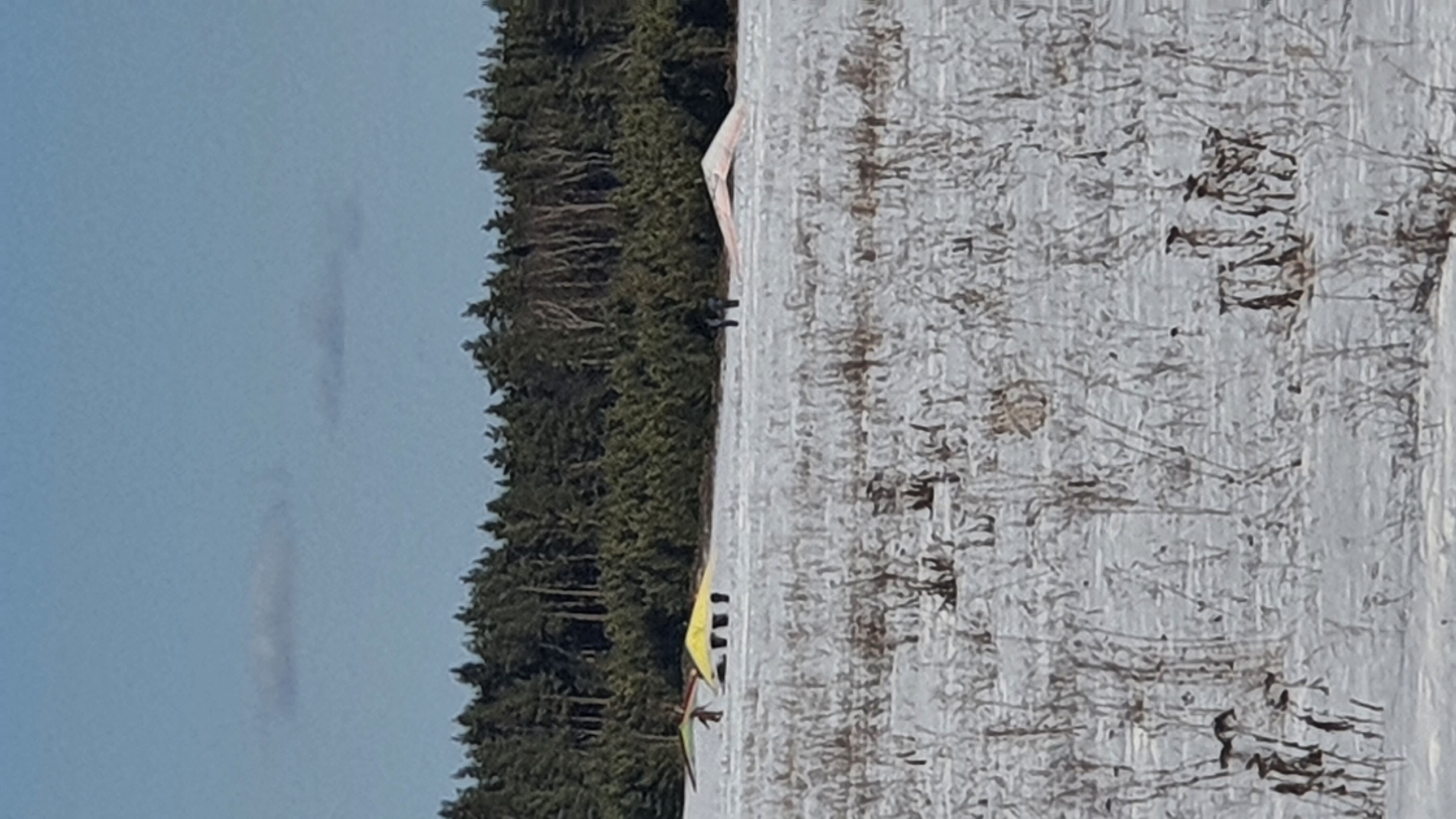 Фото Эко-горный