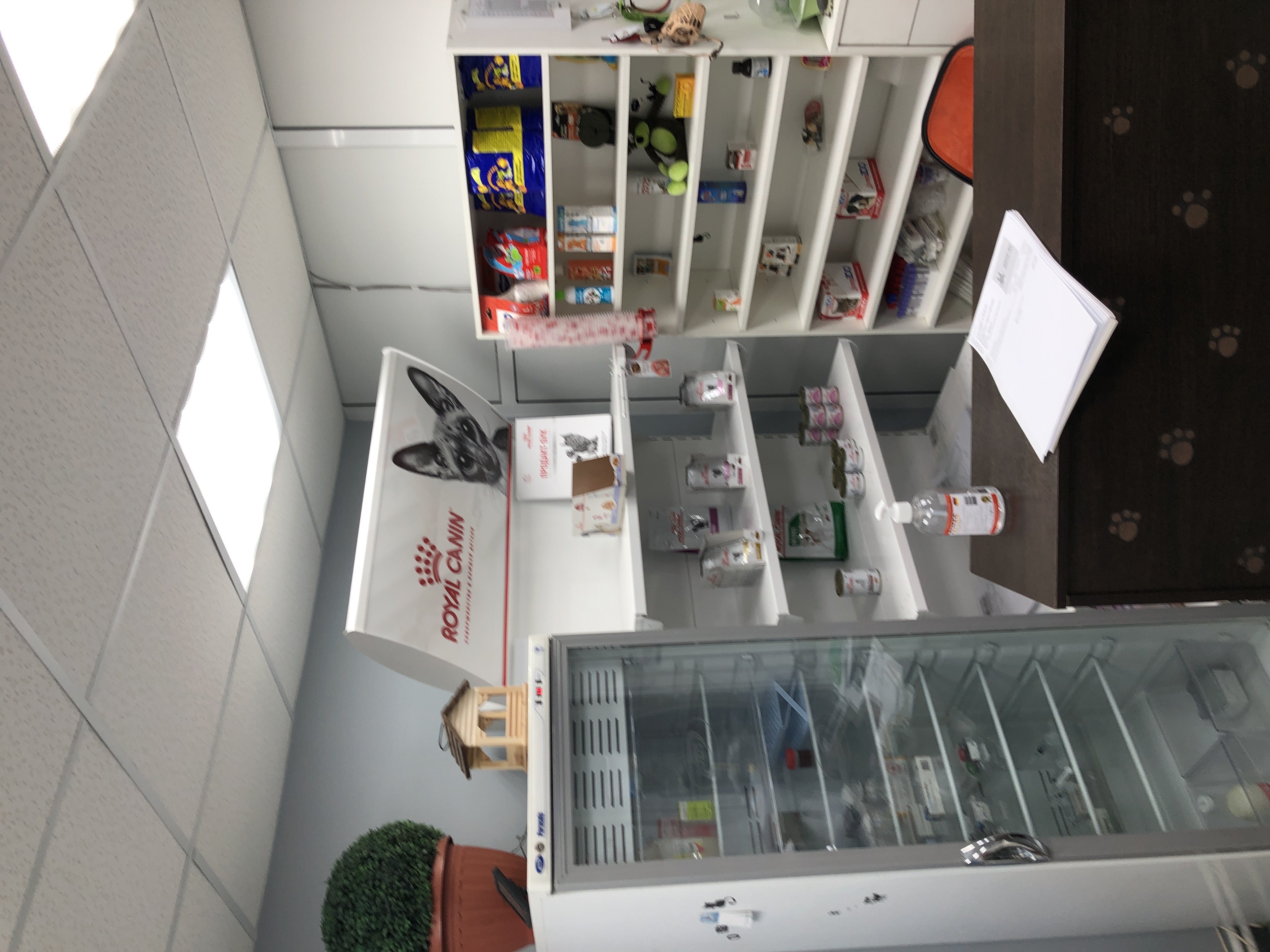 Фото ЛИСИЦА МОСКВА