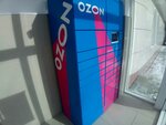 Ozon (ulitsa Krasnykh Zor, 55), other