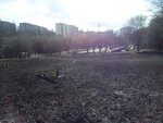 Dog park (Lipetsk, Log), dog park