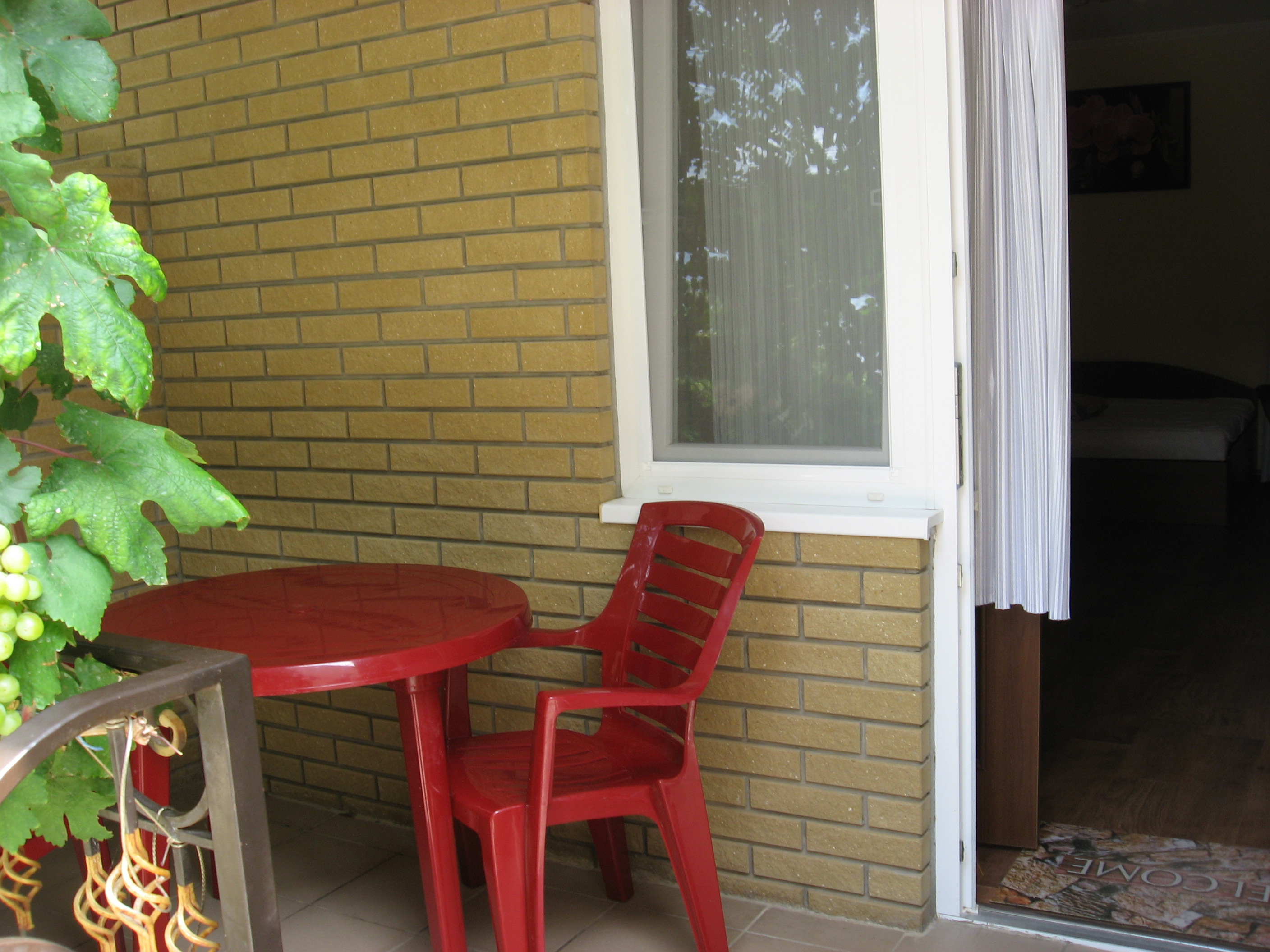 Фото Александрия