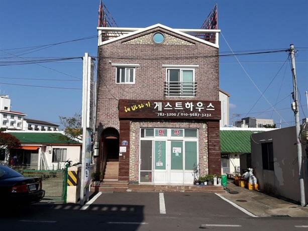 Jeju Sunflower Guesthouse