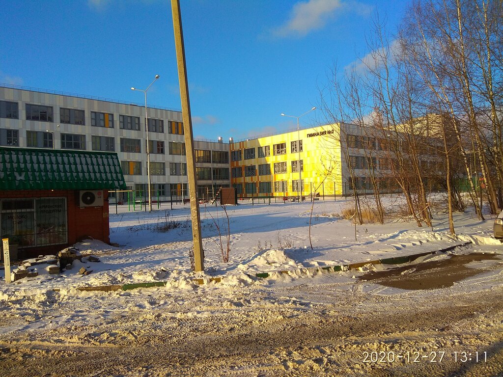 School Гимназия № 2 Гощ, корпус Солнечный, Shelkovo, photo
