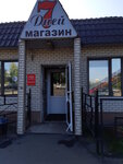 7 Дней (Moskovskaya Street, 1А), grocery