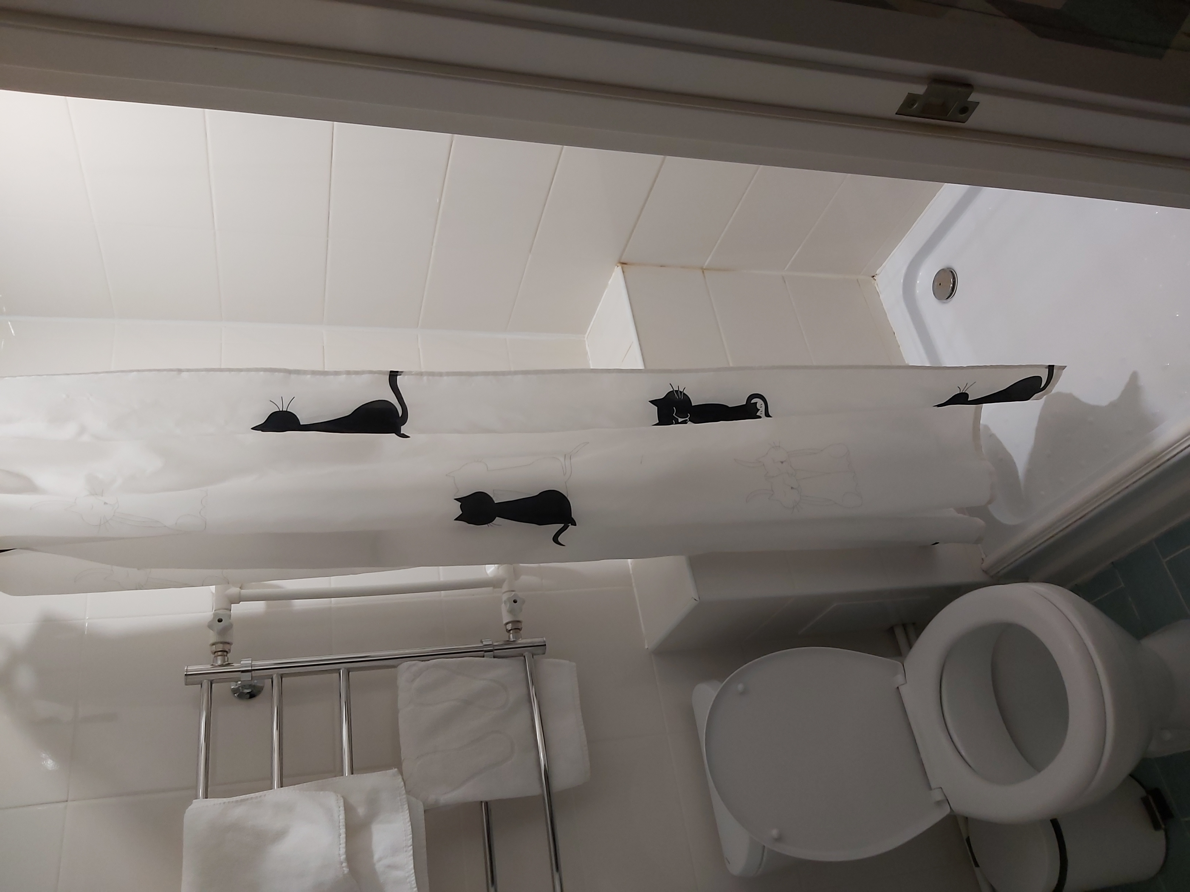 Фото Центральный