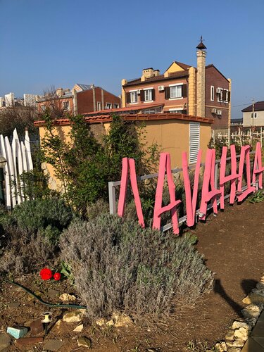 Лаванда Азов — фото 4