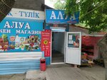 Alua (Vladimir Radostovets Street, 173), grocery