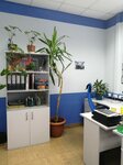 Бас Коннект (Aviatsionnaya Street, 77), business consulting