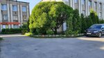 ПСК Зебра (Pobedy Avenue, 1), design institute