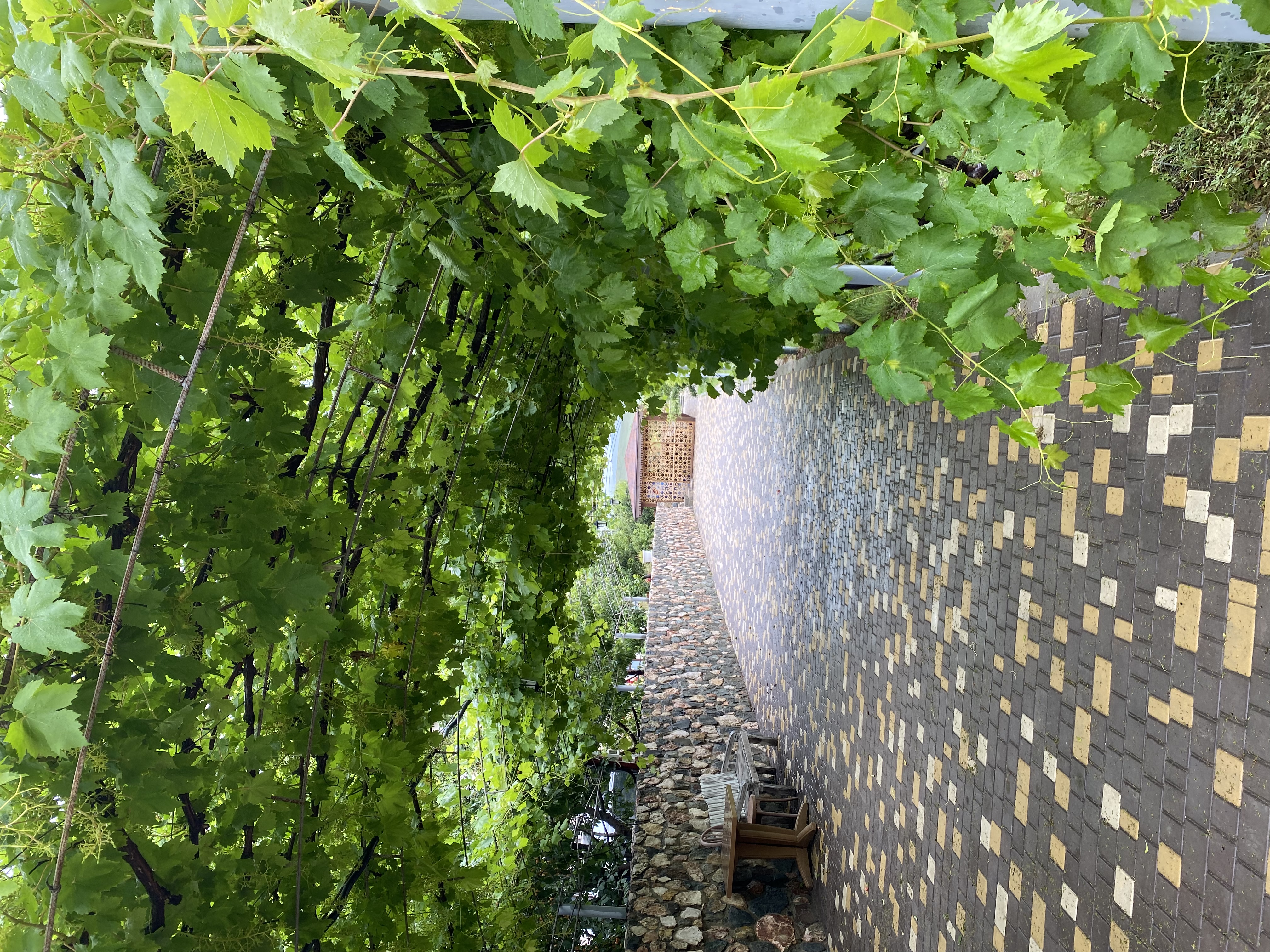 Фото Маркур