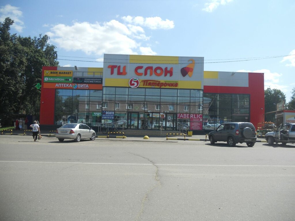 Слон, замеченный в центре Москвы, снимался в кино