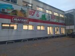 Magnit (1-ya Zavodskaya ulitsa, 15), grocery