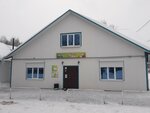 Магазин для Вас (Archangel Region, Vilegodskiy munitsipalny okrug, selo Ilyinsko-Podomskoye, Pionerskaya ulitsa), grocery